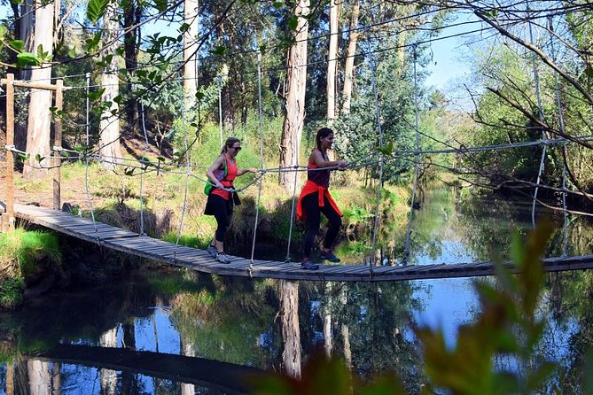 Half-day Hike & Picnic with Dog Love in Porto's Mountains - Why this is a smart break from central Porto