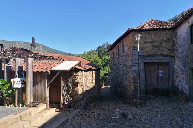 Half-day Hike & Picnic with Dog Love in Porto's Mountains - How hard is the hike?