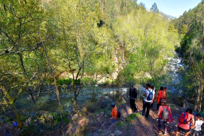 Half-day Hike & Picnic with Dog Love in Porto's Mountains - Who will enjoy this most?