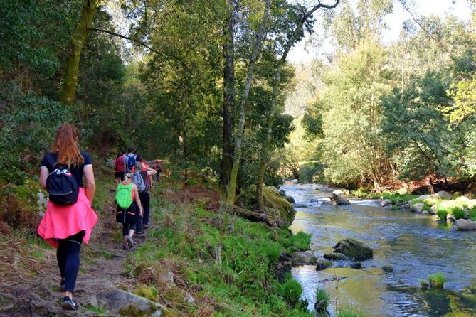 Half-day Hike & Picnic with Dog Love in Porto's Mountains - Meeting Ricardo at São Bento Railway Station