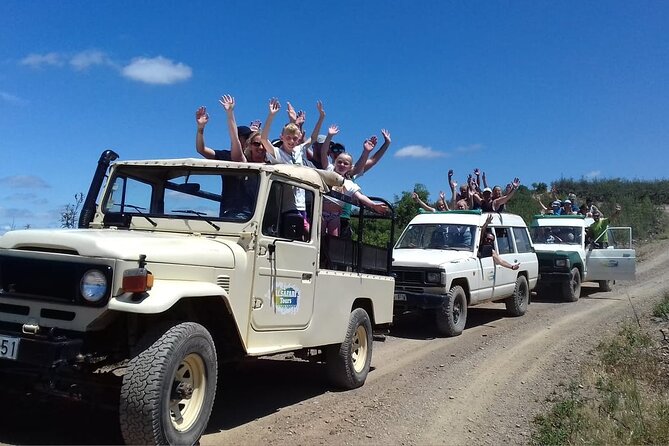 Half Day Safari Tour with Wine Tasting - Who will enjoy this outing most