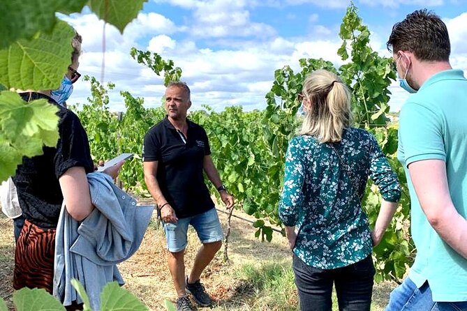 Half Day Safari Tour with Wine Tasting - Practical tips for a better afternoon