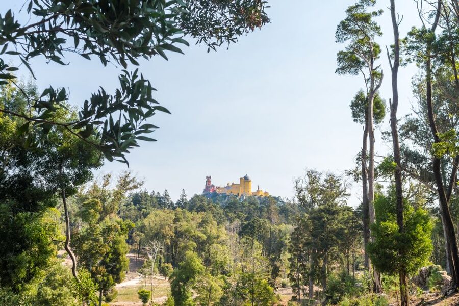 Half-Day Sintra Tour from Lisbon with Transfers - Timing, traffic, and weather