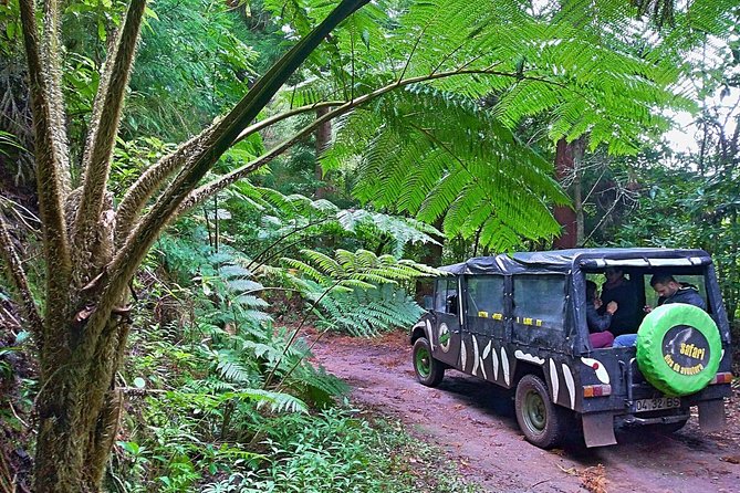 Half-Day Small-Group Madeira Village Safari from Funchal - Key points before you book