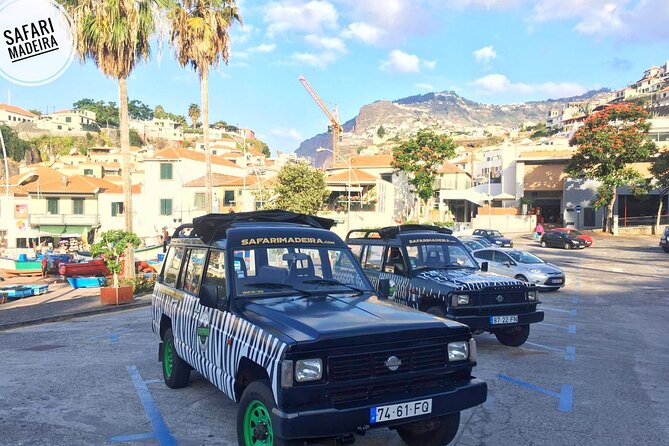 Half-Day Small-Group Madeira Village Safari from Funchal - What this three-hour Madeira safari really offers