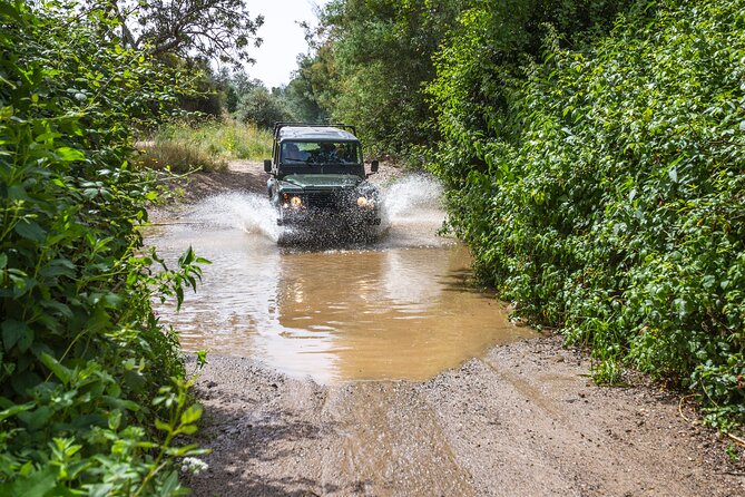Half-day tour 4x4 West Coast of the Natural Park - The 20-minute walk through nature