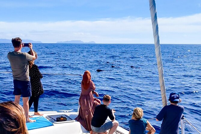 Half Day Tour on a Luxury Catamaran on Madeira Island - What luxury means on this boat