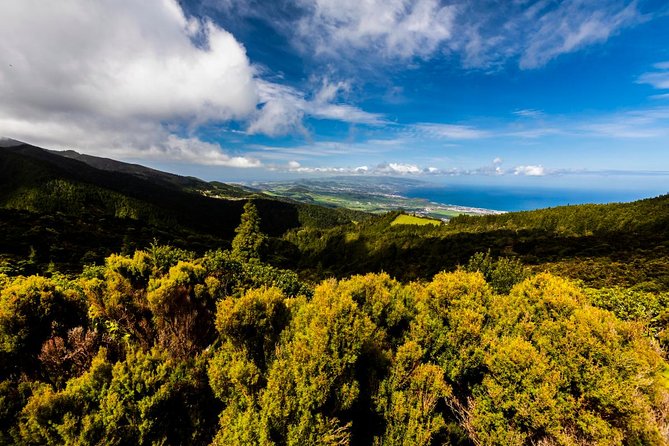 Hidden Gems of Sao Miguel Island Full Day Tour with Lunch - Why this eight-hour tour feels different