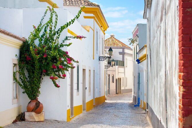 Highlights & Hidden Gems of Faro Private Tour - What the private format changes