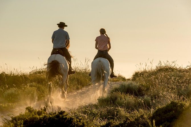 Horse Riding on the Beach - From Pine Forest to Melides Beach