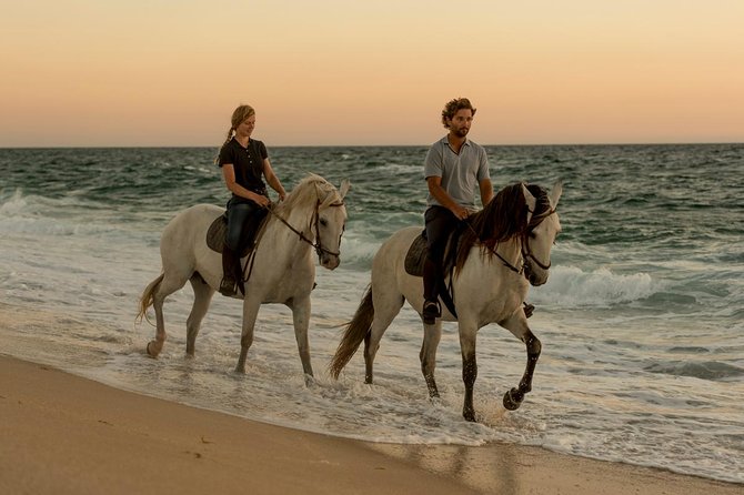 Horse Riding on the Beach - The First View of the Ocean