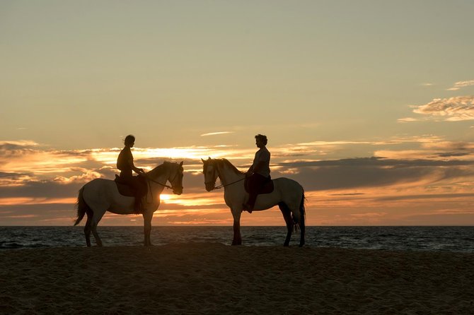 Horse Riding on the Beach - Riding Help for First-Timers