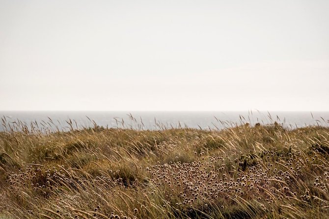 Horse Riding on the Beach - Weather, Timing, and a Sensible Plan