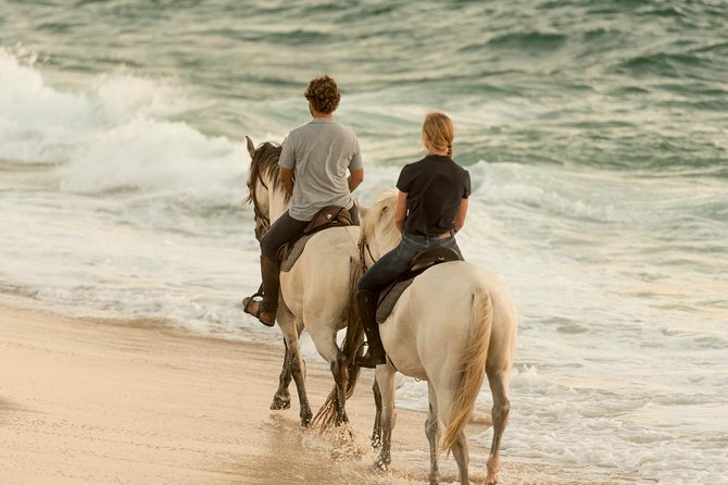 Horse Riding on the Beach - Why the Quiet Beach Makes the Ride Worthwhile