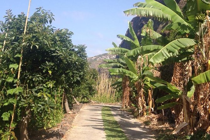 Incredible tour to a 'Faja' with a story - Reaching Fajã dos Padres by cable car
