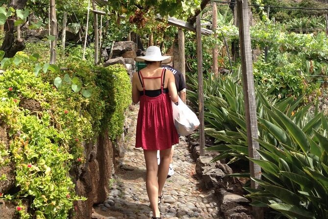 Incredible tour to a 'Faja' with a story - Walking through the orchards