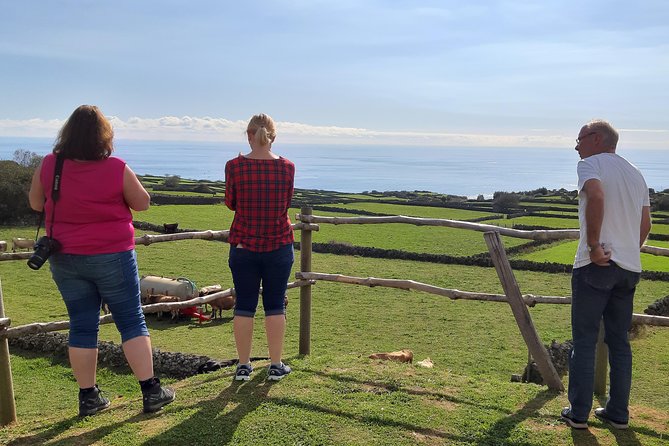 Island Van Tour (Full Day) | Terceira Island - Praia da Vitória from Miradouro do Facho