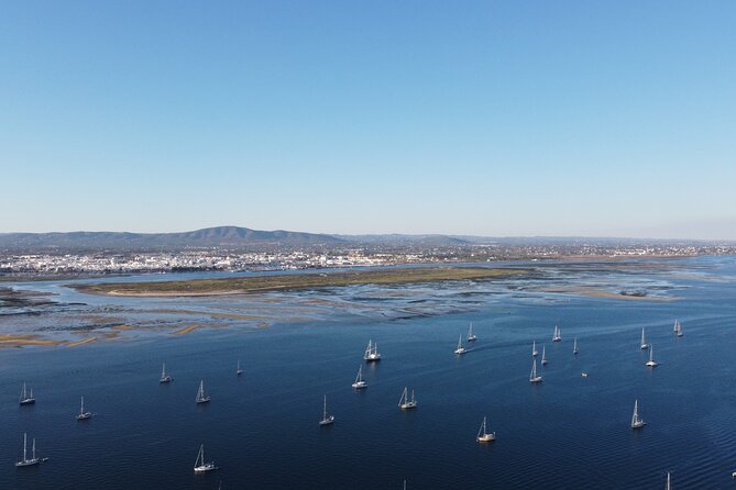 Islands Tour: Half Day Cruise in Ria Formosa Natural Park - Farol: a short look at the second island