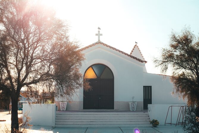Islands Tour: Half Day Cruise in Ria Formosa Natural Park - Who will enjoy this afternoon cruise?