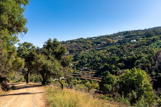 Jeep Safari #1 in Algarve - The off-road ride: fun, but not an extreme adventure