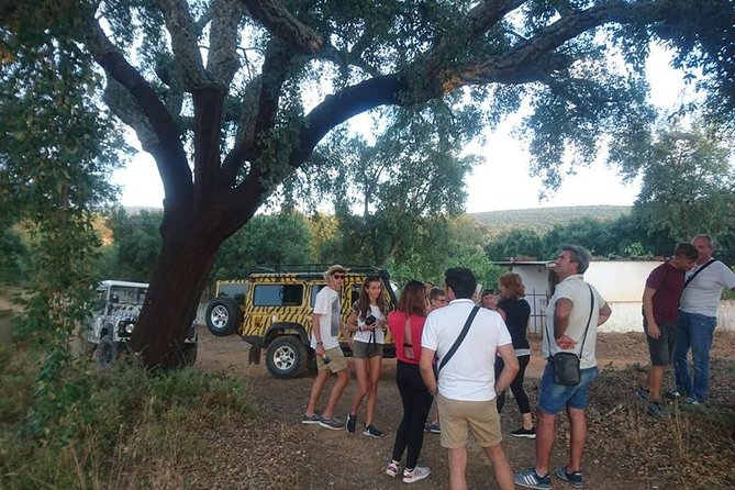 Jeep Safari Tour - Full Day - Local tastes between the stops