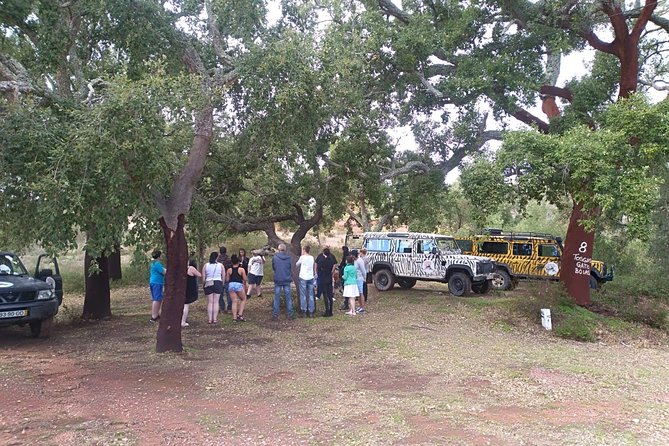 Jeep Safari Tour - Half Day - Alte: the strongest stop of the morning