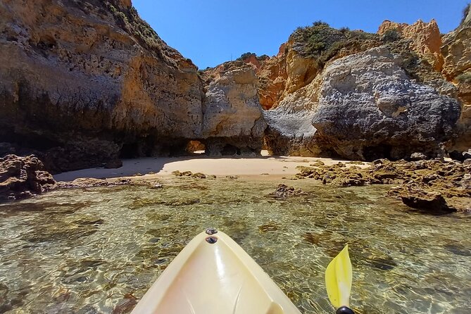 Kayak Adventure through the Ponta da Piedade Caves in Lagos - Guides, group size, and the feel of the outing
