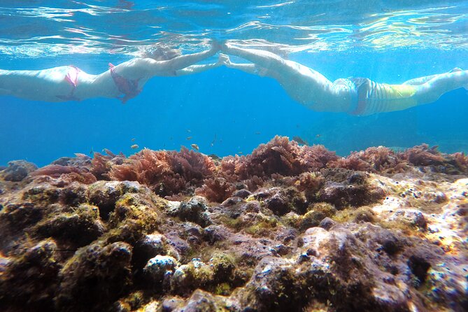 Kayak and Snorkeling Tour in Underwater Nature Reserve Garajau - The guides shape the experience