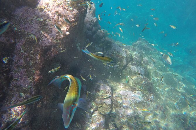 Kayak and Snorkeling Tour in Underwater Nature Reserve Garajau - How weather can change the plan