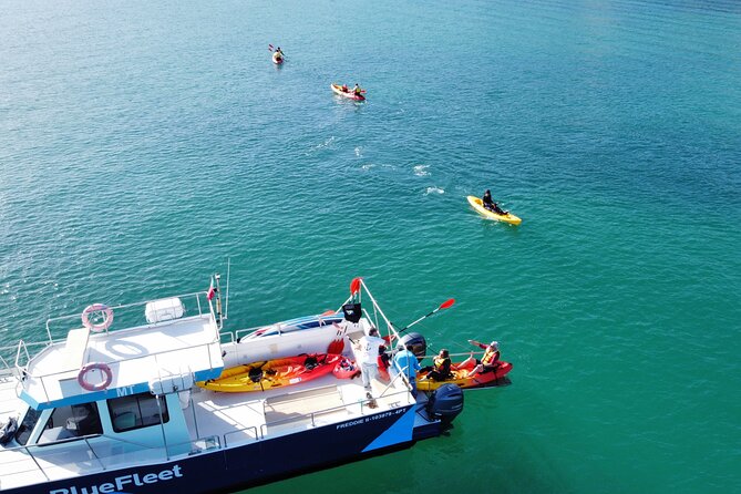 Kayak Experience in Ponta da Piedade - Paddling through caves, arches, and rock corridors