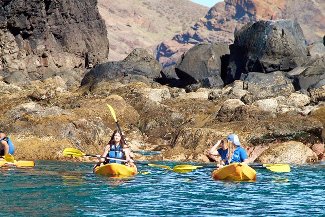 Kayak Experience @ Ponta de São Lourenço - The awkward part: bags, changing, and waiting