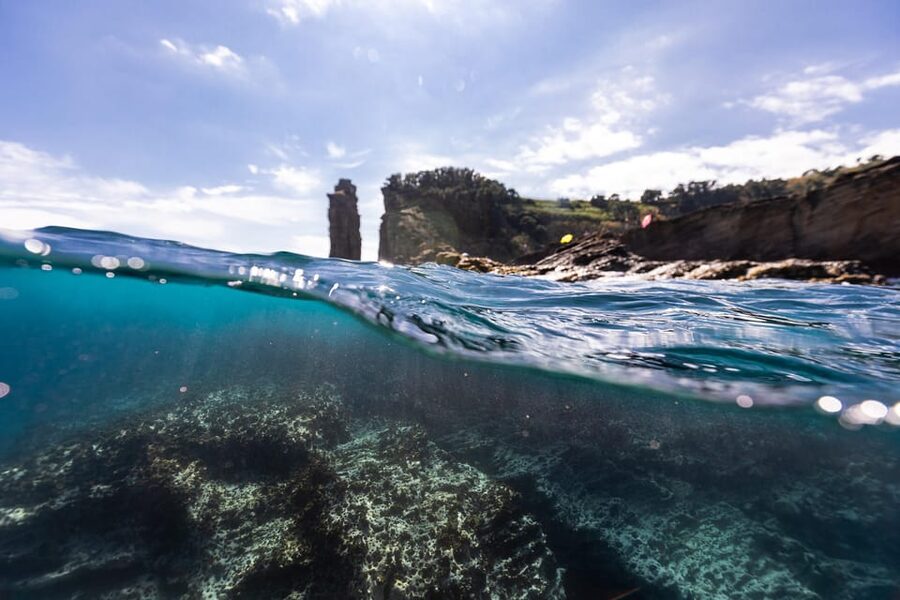 Kayak Guided Tour: Vila Franca do Campo Islet - Practical ways to have a better day