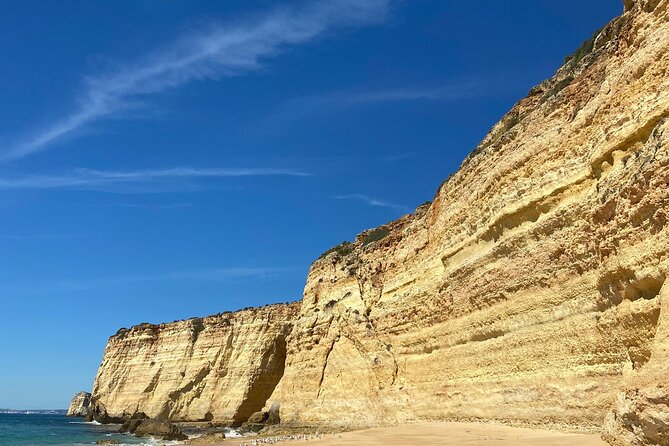 Kayak Tours with Amazing Caves, sea life and Marine Biologist . - Key points to know before booking