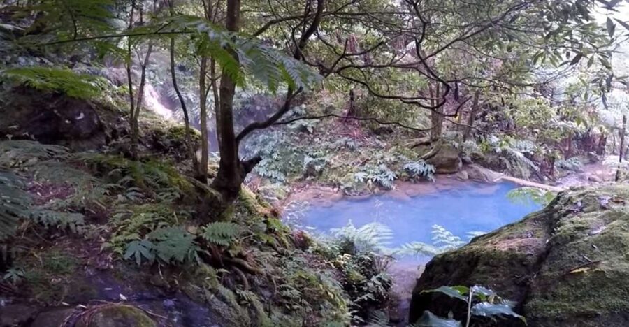 Lagoa do Fogo: Guided Volcano Geo Tour w/ Hotsprings Bathing - Why this four-hour tour works well