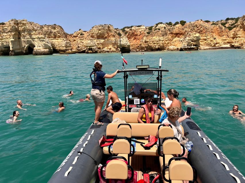 Lagoa: Dolphins Expedition with biologist guide on board - Key points to know before you book