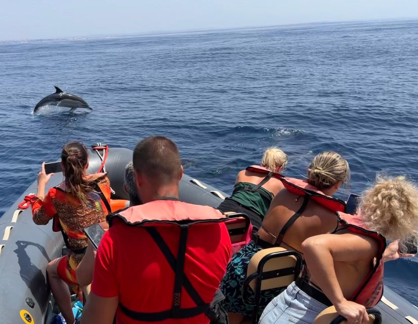 Lagoa: Dolphins Expedition with biologist guide on board - Two and a half hours following the dolphin groups