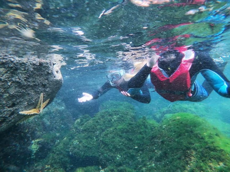 Lagos: Algarve Coasteering and Snorkeling Adventure - The guides make the difference