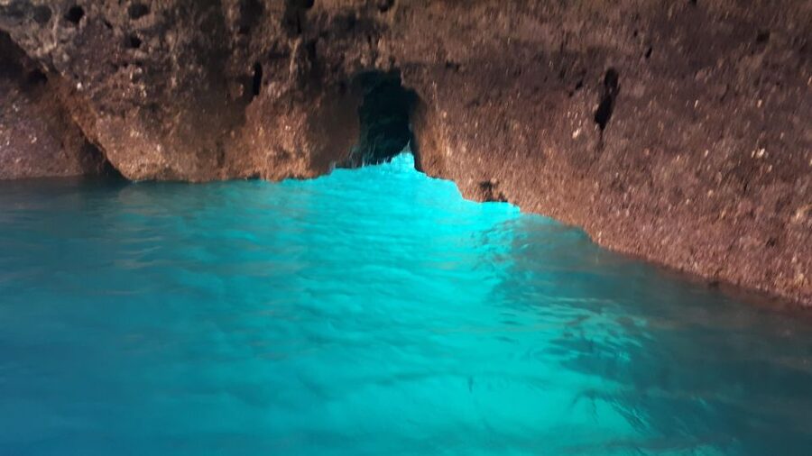 Lagos: Boat Trip to Grottos of Ponta da Piedade and Caves - Choosing between a morning and afternoon departure