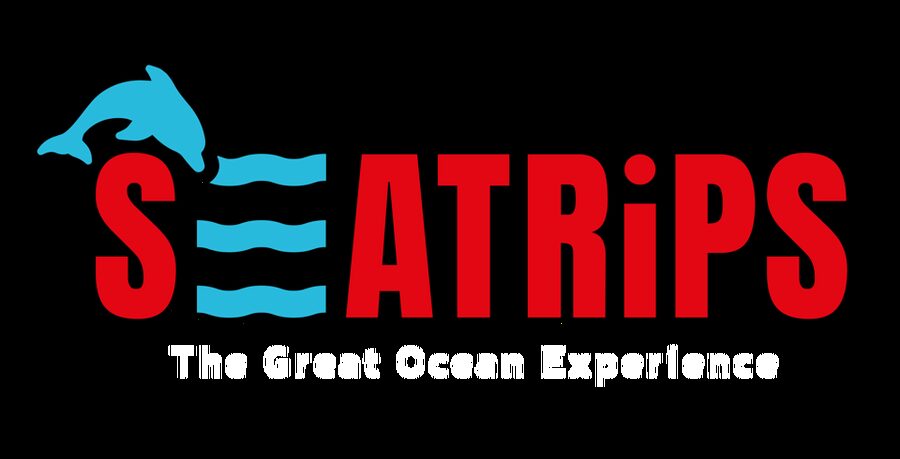 Lagos: Combo Dolphin and Benagil Tour with Marine Biologist - Searching for dolphins in open water