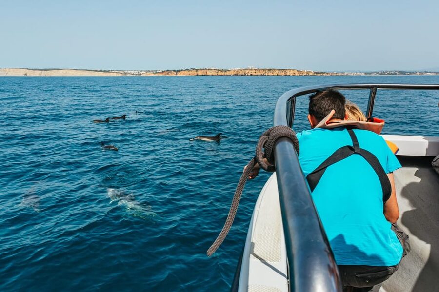 Lagos: Dolphin Watch Tour with Professional Marine Biologist - Should you book Sealife Dolphin Watching Algarve?