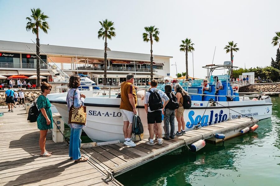 Lagos: Dolphin Watch Tour with Professional Marine Biologist - The best way to set your expectations
