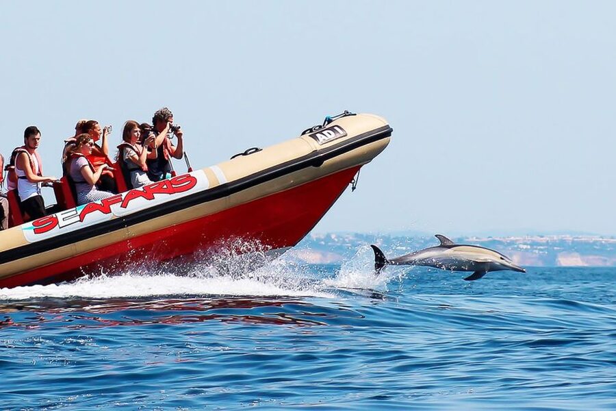 Lagos: Dolphin Watching with Professional Marine Biologists - How reliable are the dolphin sightings?