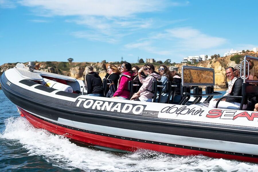 Lagos: Dolphin Watching with Professional Marine Biologists - Who will enjoy this Lagos dolphin trip?