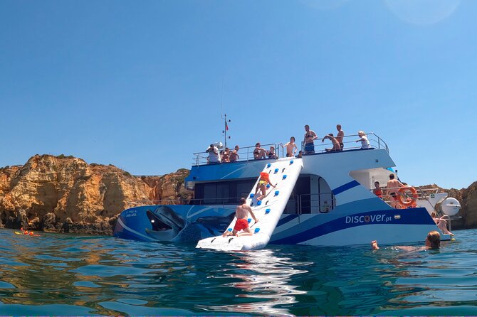 Lagos: Dolphins & Benagil Caves – Catamaran - What happens when dolphins appear