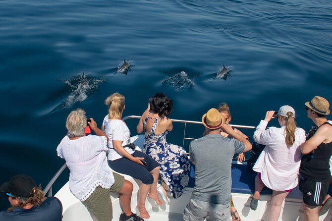 Lagos: Dolphins & Benagil Caves – Catamaran - Ponta da Piedade and the Algarve coast
