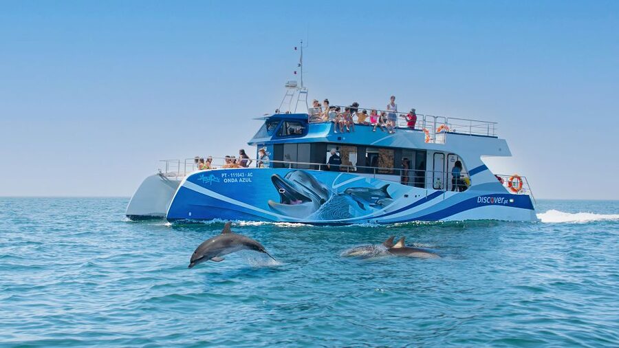 Lagos: Dolphins & Caves - Catamaran - Searching for dolphins in their natural habitat
