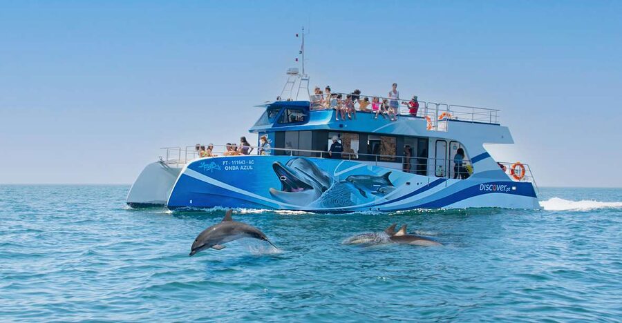 Lagos: Dolphins & Caves - Catamaran - Algarve cliffs and the second half of the outing