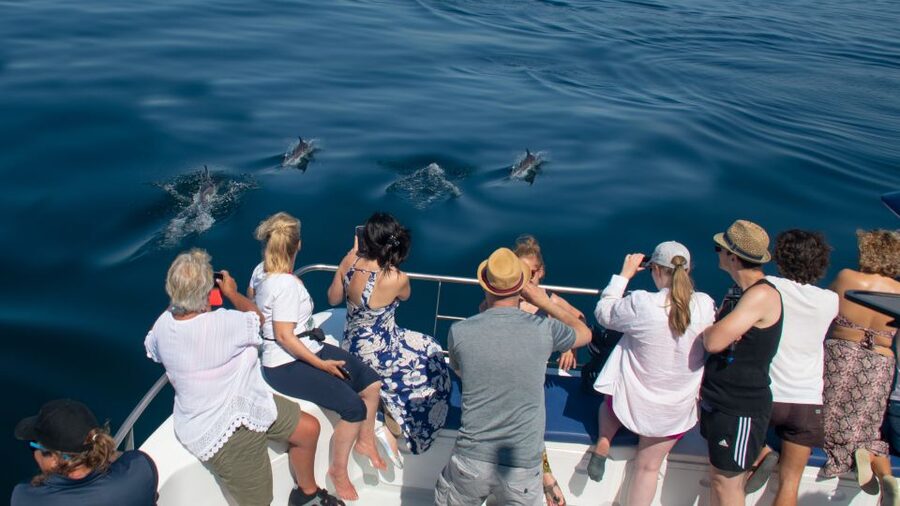 Lagos: Dolphins & Caves - Catamaran - Who should choose this catamaran cruise?