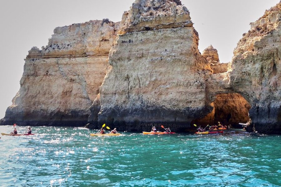 Lagos: Guided Kayak Tour - What the $40 price includes