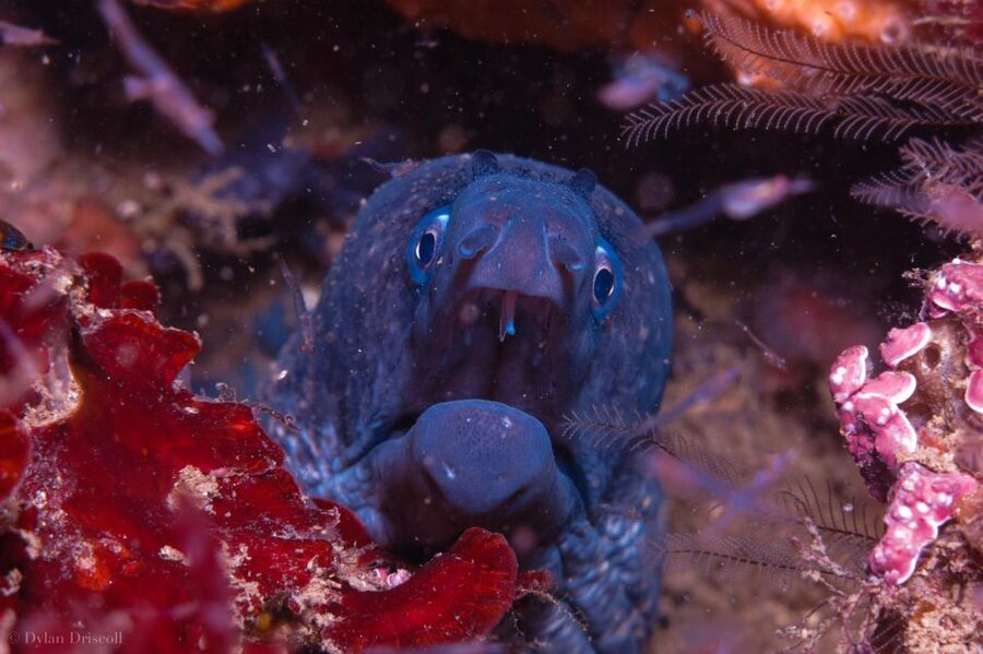 Lagos: Guided Scuba Diving Trip for Beginners - Getting fitted with the full scuba kit